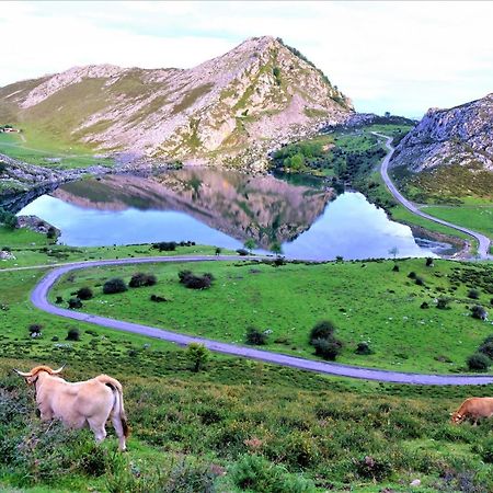 Willa Casa Vacacional Gerpe II Navés Zewnętrze zdjęcie